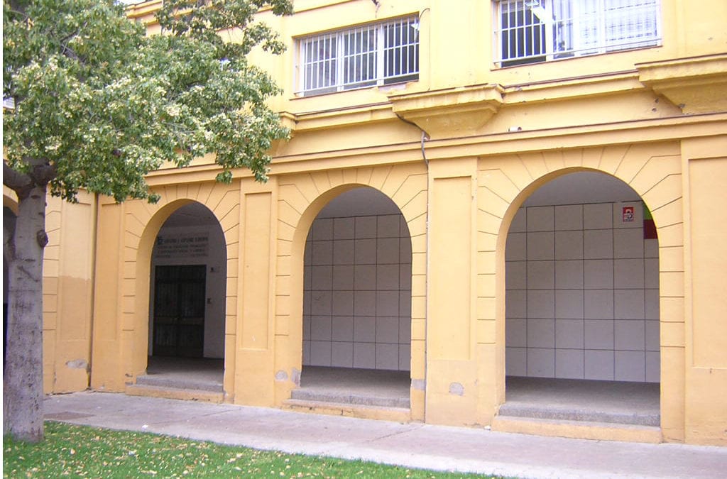 Servicio de Apoyos para la Vida Adulta y la Inclusión (SAVAI)