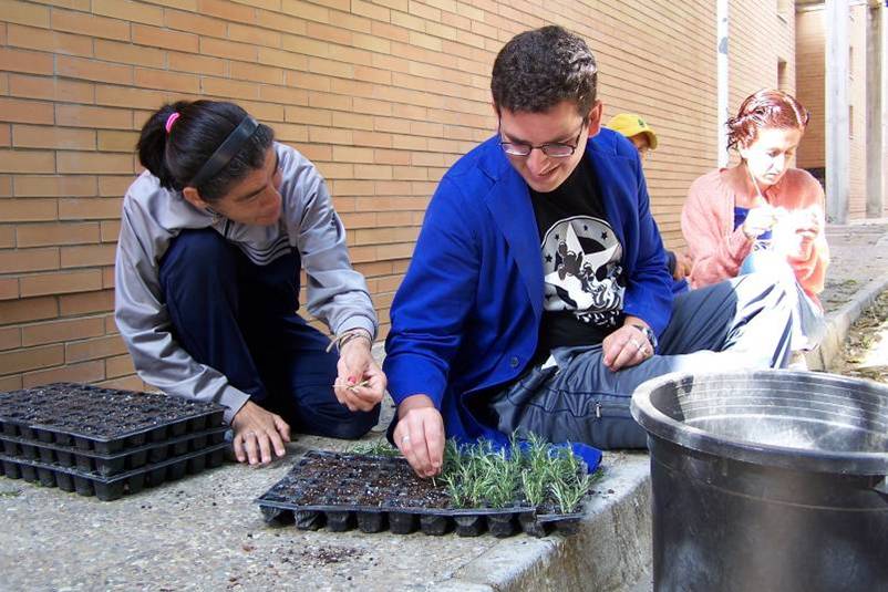 Centros ocupacionales
