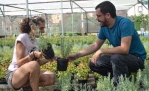 centro ocupacional aspanri