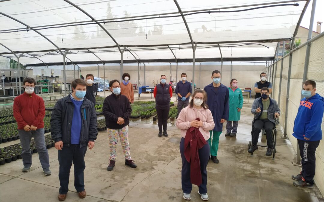 INICIO DEL PROGRAMA DE EMPLEABILIDAD “UNO A UNO” EN VIVEROS